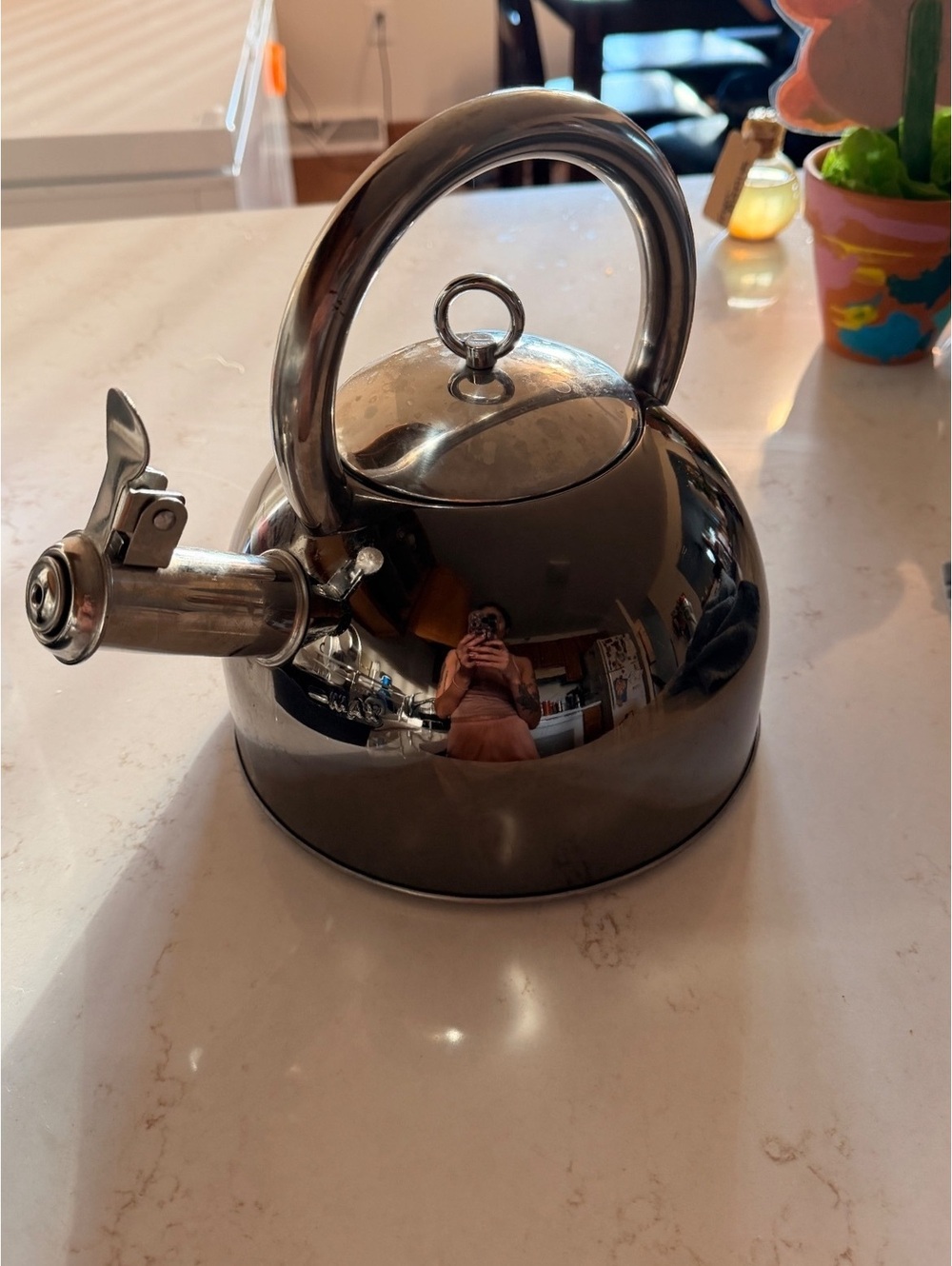 MasterClass Premium Cookware Stainless Steel Whistling Tea Kettle